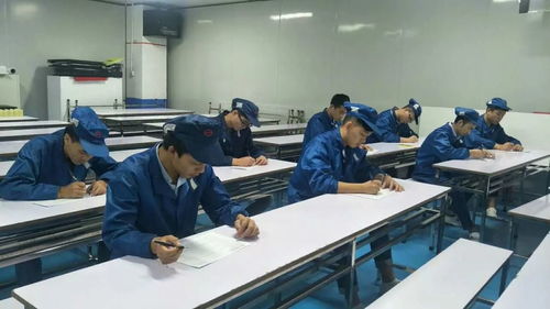 掌握職業(yè)技能，增值自我人生——第一工廠工程技術(shù)崗位評(píng)審認(rèn)證與信息技術(shù)咨詢服務(wù)解析